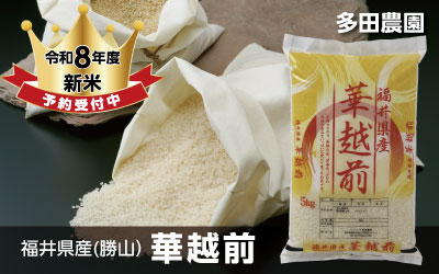 多田農園の令和8年度華越前販売開始中
