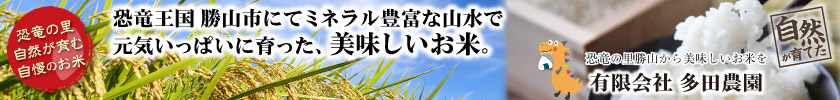 ミネラル豊富な山水で育った福井の美味しいお米！黄金こしひかり