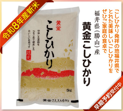 定番のおいしさ!黄金こしひかり