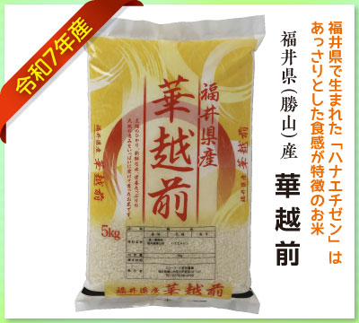 あっさりとした華越前