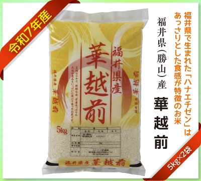 あっさりとした華越前