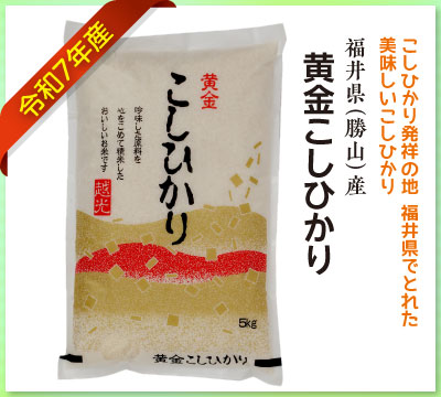 定番のおいしさ！黄金こしひかり