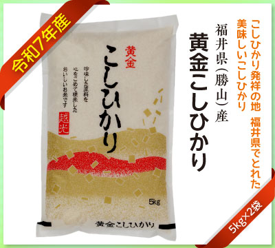 福井県産（勝山）令和7年度新米こしひかり販売中